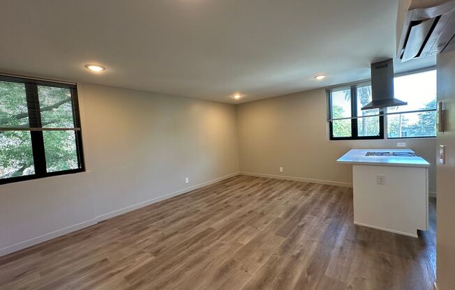 Studio, 1 bath, 425 sqft, $1,650, Unit 201