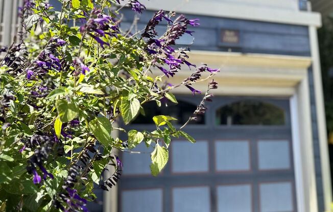 Now Available! Victorian Elegance Meets Modern NOPA Living | 1914 Golden Gate Ave