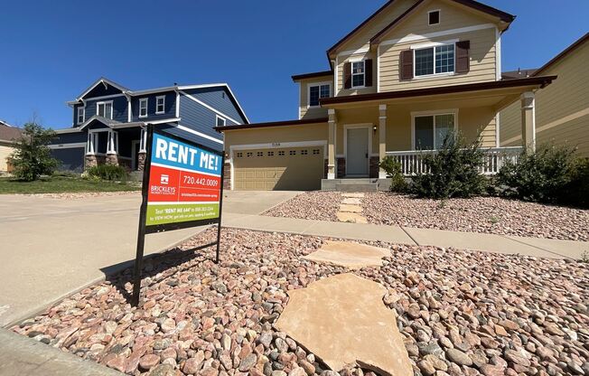 7159 Red Cardinal Loop