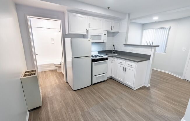 Studio, 1 bath, 238 sqft, $1,898, Unit 108