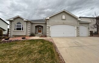 4 Bedroom + Home Office in D20 Home in Northgate!