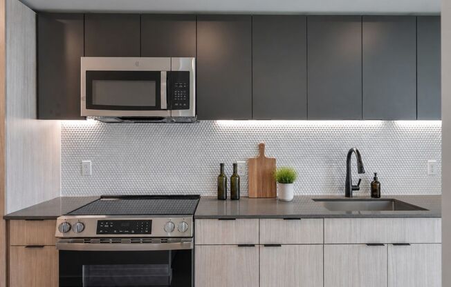 1 bed, 1 bath, 421 sqft, $1,495, Unit 307
