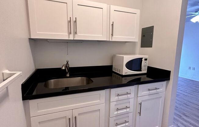 Studio, 1 bath, 527 sqft, $1,525, Unit 0710