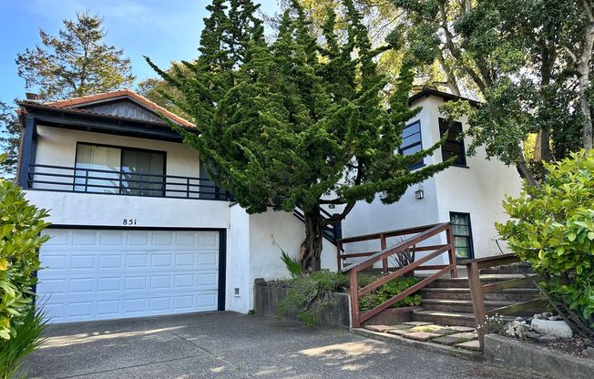 Large home in the Berkeley Hills with large yard for entertaining.