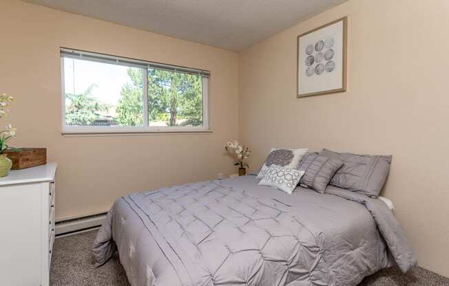 Bedroom 2 with large window