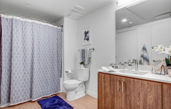 a bathroom with a shower and a sink and a toilet