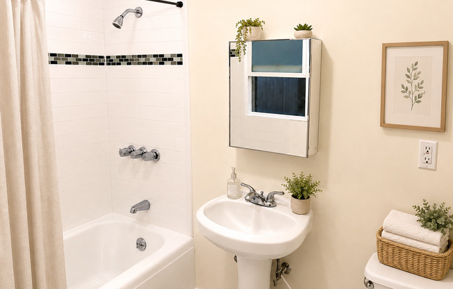 Studio, 1 bath, 500 sqft, $1,595, Unit 407