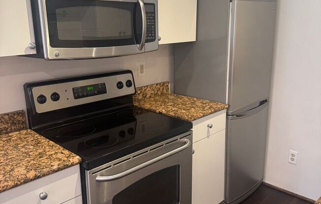 1Bd/1Ba Seattle Condo