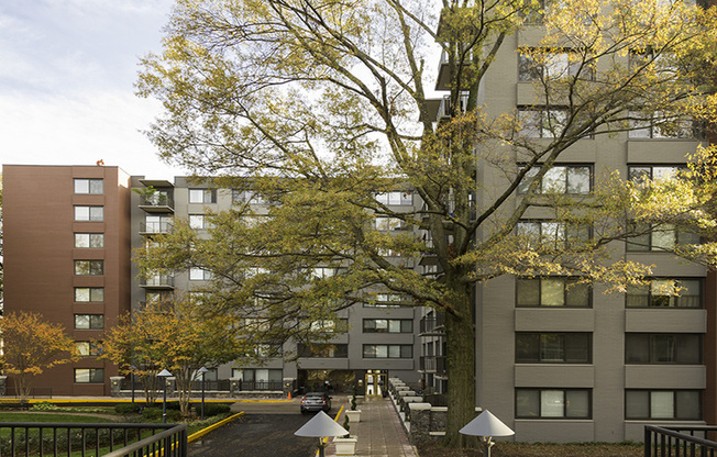 Enjoy lush courtyards with large, mature trees