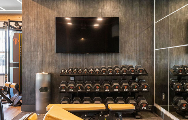 a workout room with weights and a tv on the wall at Madison Prickett Preserve, Yardley, 19067