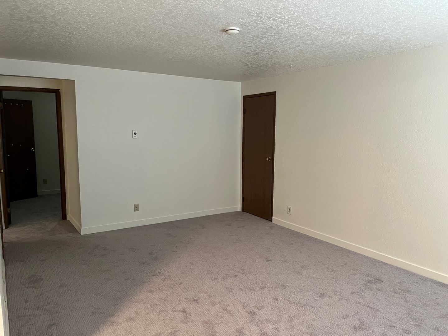 Twin Firs - 1 Bedroom - Lynnwood - Renovated Modern Apartments