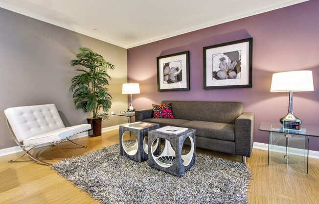 a living room with purple walls and a couch