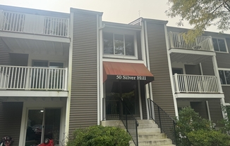 50 SILVER HL LN