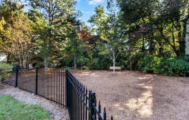 A black metal fence surrounds a dirt area with trees in the background.