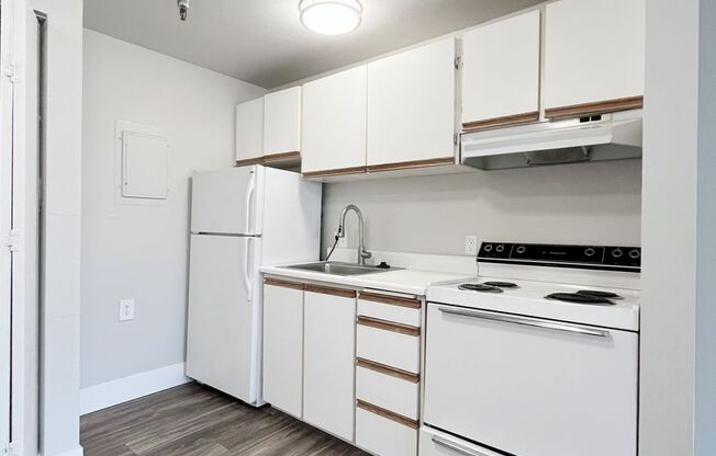 Studio, 1 bath, 480 sqft, $1,350, Unit 116