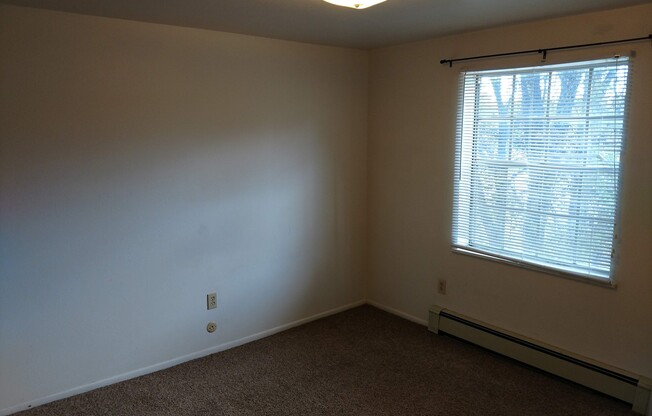 1 bed, 1 bath, $600, Unit 8B