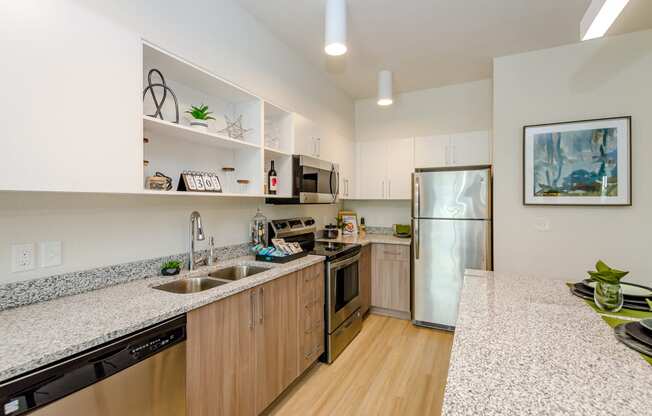 Granite Countertop Kitchen at Lofts at South Lake, Clermont, 34711