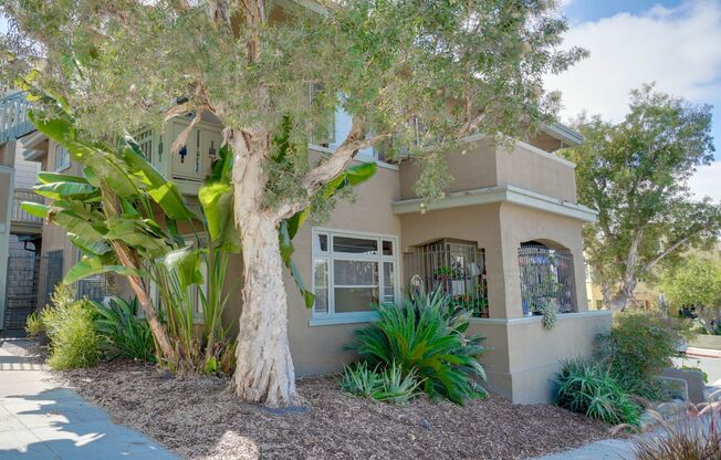 Golden View Apartments