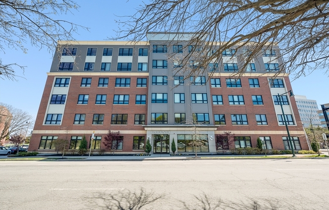 1 bed, 1 bath, 650 sqft, $2,850, Unit 415