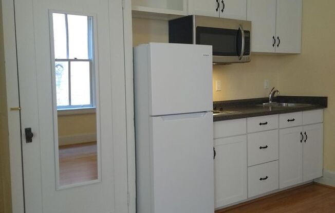 Studio, 1 bath, 300 sqft, $1,050, Unit 203