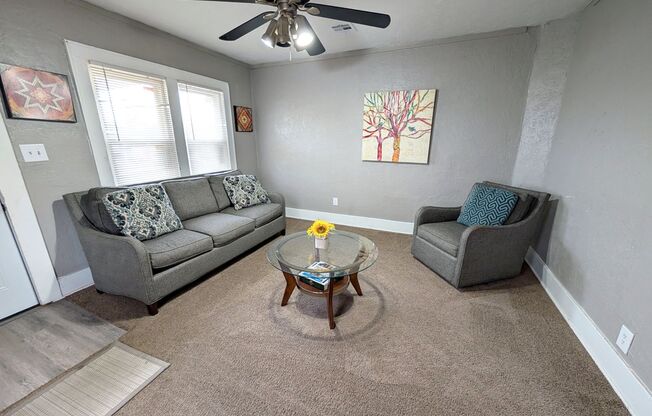 Furnished 1/1