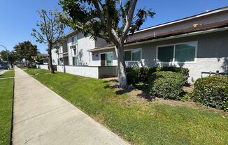 Flower Ave. (18 Units)