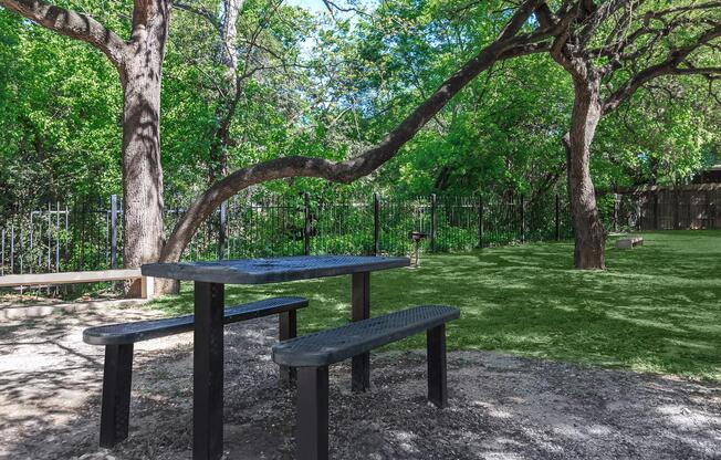 an empty park bench next to a tree