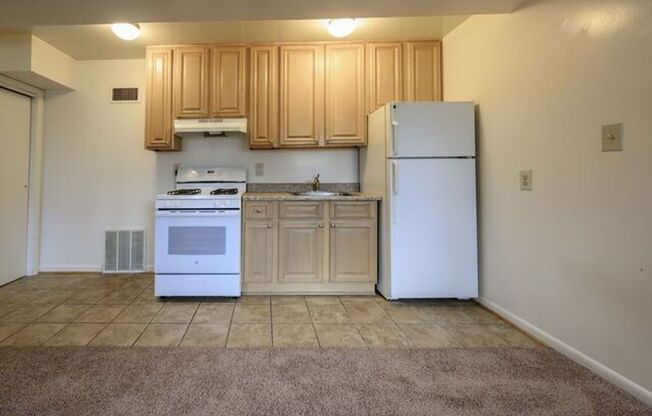 1 bed, 1 bath, 430 sqft, $1,125, Unit 6113 #C1