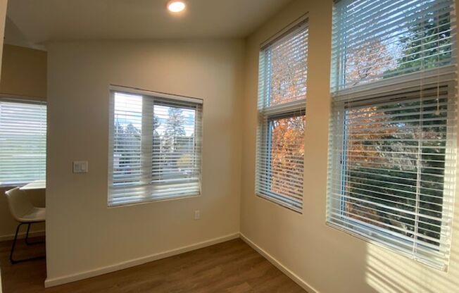 Studio, 1 bath, 175 sqft, $1,495, Unit 501
