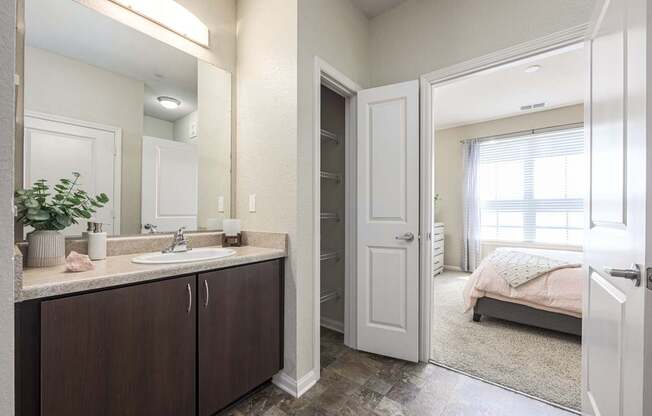 A bathroom with a sink, mirror, and a plant on the counter.