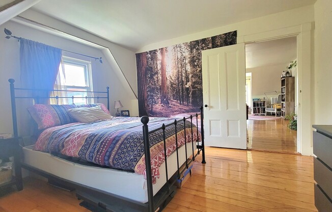 2 beds, 1 bath, 800 sqft, $2,800, Unit 3
