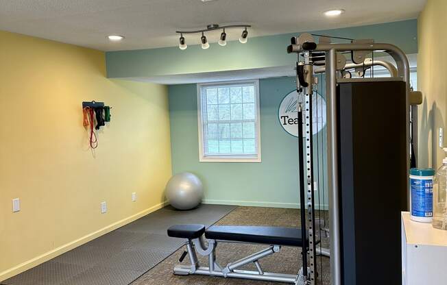 a home gym with a treadmill and weights