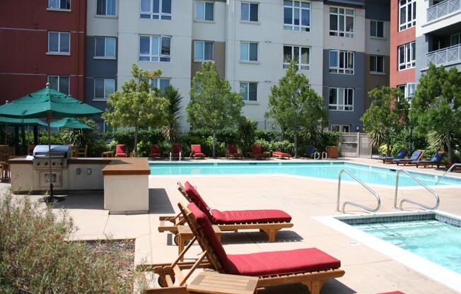 High End Condo on Top floor: High Ceilings- Hardwood floors- Gym- Dogs Welcome Only with Approval