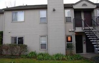 Rosemont Condo - Spacious & Updated 2-Bed, 1-Bath Condo with In-Unit Laundry!