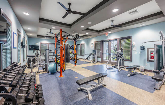 a gym with weights and cardio machines and a ceiling fan