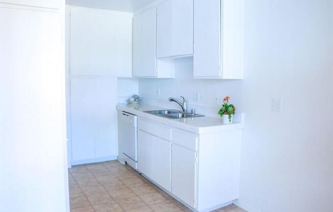 a kitchen with a sink and a dishwasher