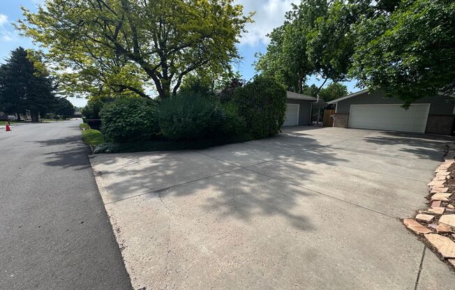 Charming Basement for Rent in the Heart of Littleton