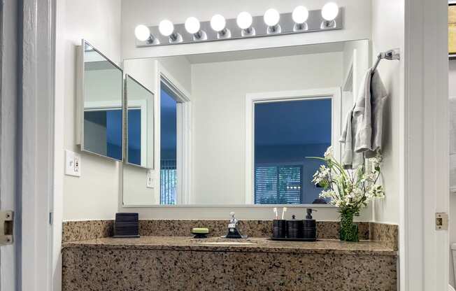 a bathroom with a counter with a mirror and a sink