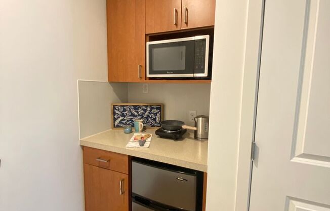 Studio, 1 bath, 170 sqft, $1,350, Unit 2300