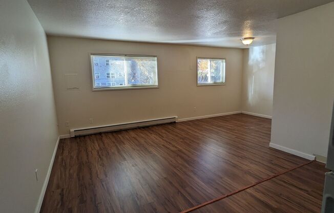 Studio, 1 bath, 350 sqft, $925, Unit 203