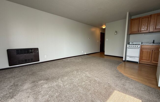 Studio, 1 bath, $695, Unit 409