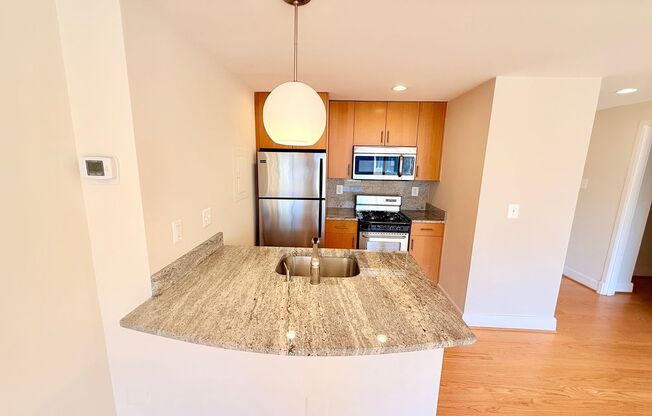 Studio, 1 bath, 460 sqft, $2,400, Unit 0310