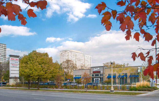 lake meadows shopping center culver's