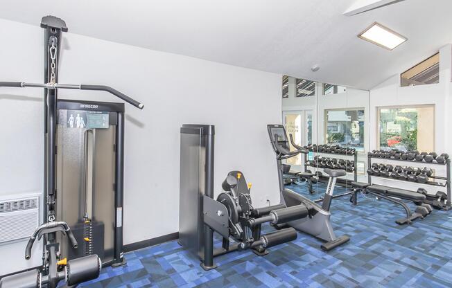 A well-equipped gym interior featuring various exercise machines. There's a cable machine, a stationary bike, and a set of free weights on a rack. The walls are painted light, and there's natural light coming through large windows. The flooring is blue carpeted with a modern design.