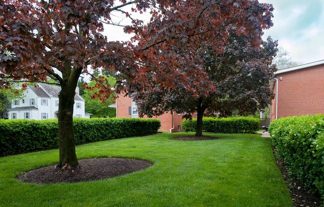 Mt Washington Park Apts