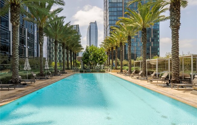 1 bed, 1 bath, 823 sqft, $5,200, Unit 2402