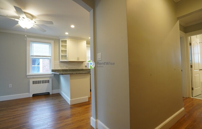 11 SHANLEY ST