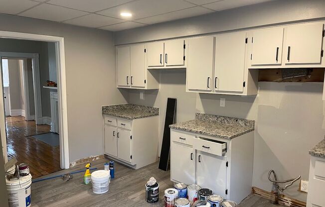 Beautiful, Sparkling New Kitchen - 4 Bedroom/2 Bath Home in Lawrenceville