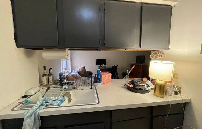 Studio, 1 bath, 390 sqft, $1,400, Unit 521-308