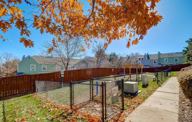 a yard with a chain link fence and a dog park